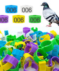 8mm Pigeon Leg Bands Kit, 100 Pcs Clip On Bird Foot Rings With 5 Bright Colors displayed with a pigeon for identification.