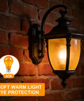 Amber Soft Warm LED Edison Bulbs 2000K 6W E26 A19 Replacement For 60W Equivalent Bedroom Lighting Sleep Friendly Baby Nursery Turtle