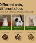Three cats with dietary needs; healthy adult, kitten nutrition, kidney care; promotes RFID Cat Feeder With Collar Tag Sensor use.