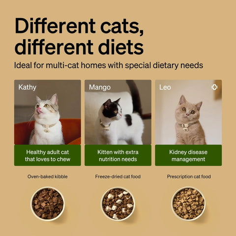Three cats with dietary needs; healthy adult, kitten nutrition, kidney care; promotes RFID Cat Feeder With Collar Tag Sensor use.