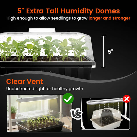 Three Pack Seed Starter Trays With Five Inch Humidity Domes, 144 Cells Total, Each Tray Holds 48 Cells, Great For Seed Starting, Germination, Propagation And Plant Growing, Tough Thick Plastic, Easy On Windowsills showing seedlings under domes.