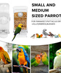 Automatic Bird Feeder And Water Dispenser Set For Cage With No Fuss Seed Catcher, clear acrylic with seed, ideal for small parrots.