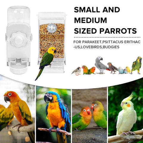 Automatic Bird Feeder And Water Dispenser Set For Cage With No Fuss Seed Catcher, clear acrylic with seed, ideal for small parrots.