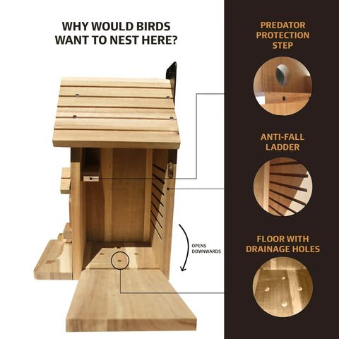 Premium Wooden Bird House Kit For DIY Bluebird Nesting Box with 1.5 Inch Entrance, side view showing predator protection and ladder