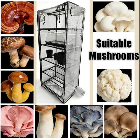 Indoor Mushroom Grow Tent Kit With Sturdy Racks For Trays And Fruiting Blocks, Mini Greenhouse For Home Growers, Waterproof PVC Cover, Rust Resistant