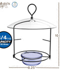 Bluebird Buffet Metal Bird Feeder With Protective Baffle For Outdoor Decor Glass Dish Holds Three Quarters Cup Capacity