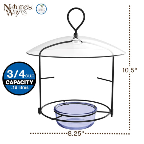 Bluebird Buffet Metal Bird Feeder With Protective Baffle For Outdoor Decor Glass Dish Holds Three Quarters Cup Capacity