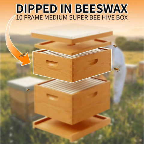 Image of Two Pack 10 Frame Langstroth Medium Super Beehive Box Dipped In Beeswax For Beekeeping Supplies in a field.