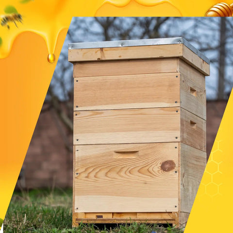 Beekeeping Beehive 3-Piece Parts Kit with top cover, inner cover, and bottom board, 10-frame solid wood beeswax finish outdoors