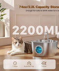 Stainless Steel Cat Water Fountain For Cats And Small Pets Automatic Indoor Waterer next to tabby cat in sunlight