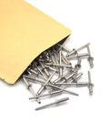 Stainless Steel Blind Rivets 3/16 x 1/2 Inch 4.8 x 12.7 Mm, 100-Pack Pop Rivets For Heavy Duty Auto Marine DIY Projects, Tough As Nails Corrosion And Acid Resistant Fastening By ISPINNER spilling from bag