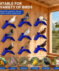 Blue 20 Pcs Dove Rest Stand Set Lightweight Plastic Bird Perches for Pigeons and Parrots in aviary with various birds.