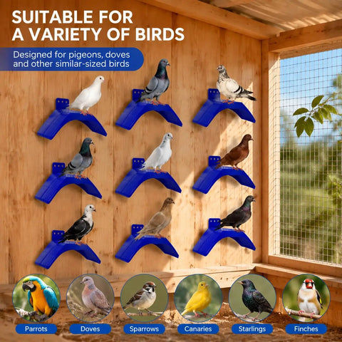 Blue 20 Pcs Dove Rest Stand Set Lightweight Plastic Bird Perches for Pigeons and Parrots in aviary with various birds.