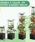 Two Pack Raised Garden Bed Planter Boxes With Trellis For A 57 Inch Self Watering Tomato Planter Box Set, adjustable height showing tomatoes.