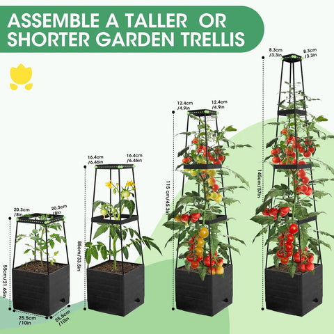 Two Pack Raised Garden Bed Planter Boxes With Trellis For A 57 Inch Self Watering Tomato Planter Box Set, adjustable height showing tomatoes.