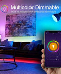 Smart WiFi RGB LED Bulbs That Play Nice With Alexa And Google Assistant A19 Color Changing Dimmable Lights in living room.