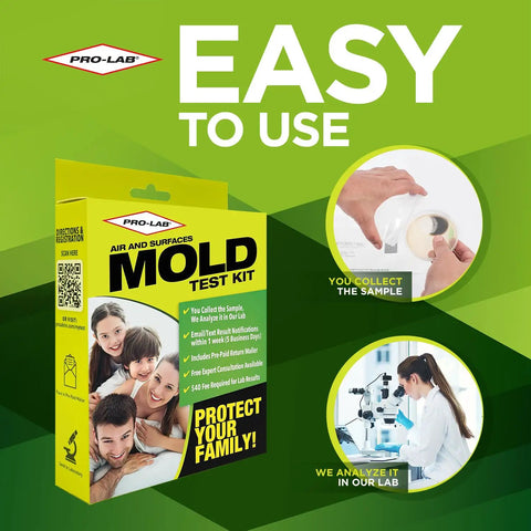 DIY Home Mold Test Kit For Air Quality With Fast 48 Hour Results packaging with illustrations of sample collection and lab analysis.
