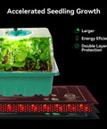 All In One Seedling Starter Kit With Grow Lights And Heat Mat showing green seedlings under a humidity dome with energy-efficient features.