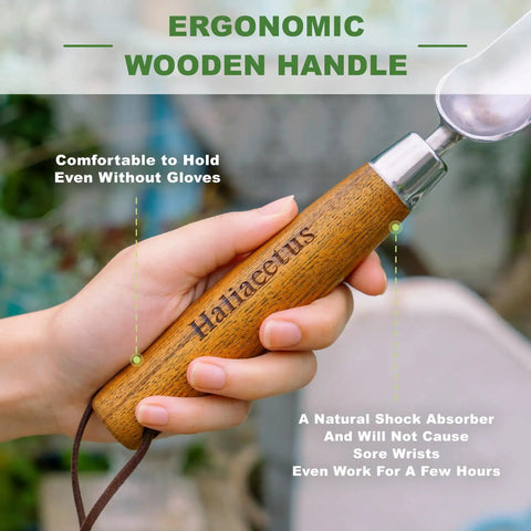 Close-up of ergonomic wood handle of Grab And Go Narrow Garden Trowel For Transplanting And Weeding Stainless Steel Widger