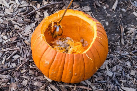 Kickass High Performance Stainless Steel Pumpkin Carving Drill Bit Attachment For Rapid Gutting And Thin Wall Prep With All Standard Drills For Hella Quick Halloween Projects, pumpkin interior with pulp and seeds, scoop visible.