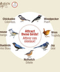 Illustration of birds like chickadee, woodpecker, titmouse, wren, bluebirds, jay, and nuthatch with text 'Attract these birds!'