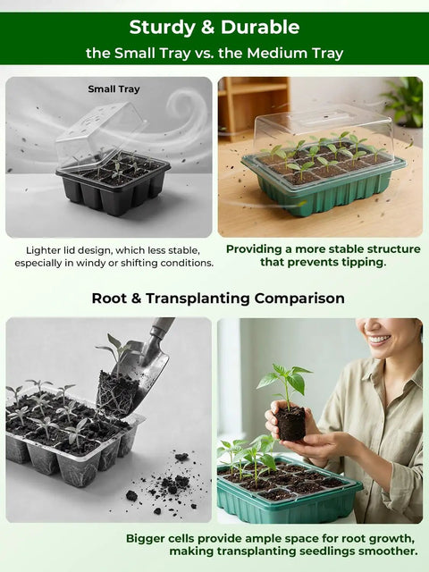All In One Seed Starter Tray 3 Pack With Heating Mat And 24 Full Spectrum LEDs Grow Light, comparison between small and medium trays