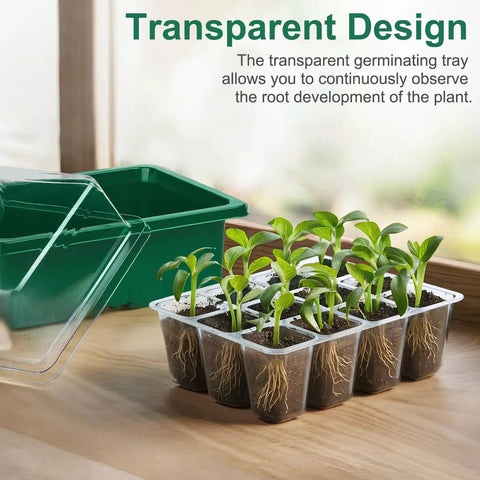 10 Pack Seed Starter Tray Kit With 120 Cells And Adjustable Humidity Dome For Fast Germination Indoors Garden Seed Starting Trays Mini Greenhouse Germination Kit For Home Gardeners Growing Healthy Seedlings with transparent tray showing seedlings and roots