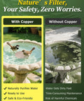 Copper Disc Bird Bath Cleaner For Outdoor Water Fountains And Bowls, 0.6mm Reinforced 99.99% Pure Copper, showing clean vs dirty fountains