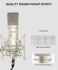 Professional XLR Condenser Microphone With 34mm Large Diaphragm Cardioid Pattern For Singing, Podcasting, YouTube, Must Have Studio Mic Kit For PC Gaming And Streaming, TM87KB Included, Sleek Silver Finish