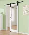 28 Inch By 80 Inch Mirror Barn Door With 72 Inch Track Kit Built To Last Solid Core MDF Sliding Door For Closet And Kitchen Paintable White Panel With Sound And Thermal Insulation Easy To Clean installed in a green room