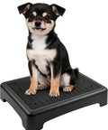 Small dog on Portable Dog Training Platform With Non Skid Surface For Small Dogs 17 Inch By 13 Inch By 3.14 Inch Durable Dog Agility Stand