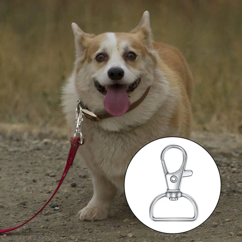 50 Piece Rock Solid Zinc Alloy Keychain Clips And D Ring Lanyard Hooks With Swivel Lobster Clasps Rust Proof Hardware For Bags And Custom Crafting shown with a Corgi on a leash.