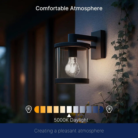 Dusk To Dawn Outdoor Sensor A19 LED Bulb 5000K Daylight installed in outdoor wall lantern, creating comfortable atmosphere
