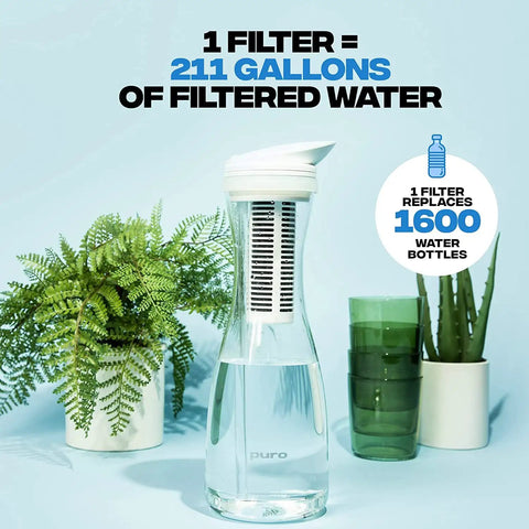 Glass Water Pitcher With Carbon Filter 1.3L Capacity For Fast Filtration Removes Lead Odors Chlorine Long Lasting Filter 2 Pack Included For Crisp Clean Tap Water alongside plants and glasses