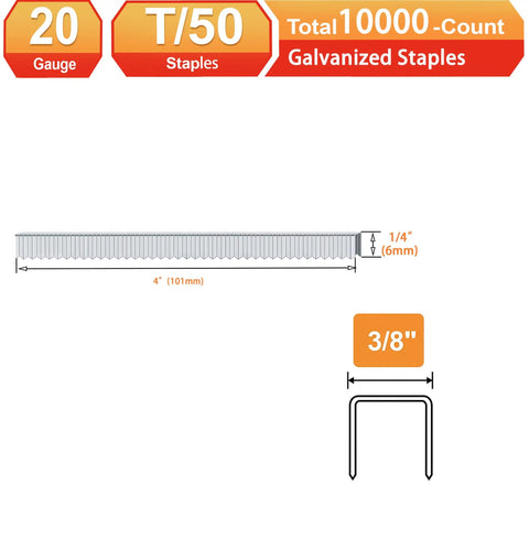 Tough As Nails 20 Gauge Galvanized T50 Staples With Chisel Points Quarter Inch, 10000 piece count, showing staple dimensions.