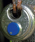 Diskus Hardened Stainless Steel Padlock Keyed Alike with 360 Degree Protection and Anti Cut Plate on rusted gate