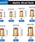 Rivet Nuts Set 1000Pcs SAE And Metric Nutserts With 14 Sizes Including M3 to M12 zinc plated carbon steel for metal repairs