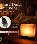 Himalayan Salt Lamp Rectangle In Natural Pink Rock With Wood Base Dimmable Cord Night Light on table in cozy room.
