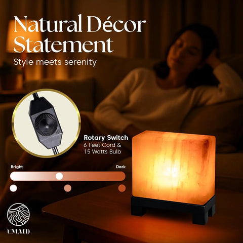 Himalayan Salt Lamp Rectangle In Natural Pink Rock With Wood Base Dimmable Cord Night Light on table in cozy room.