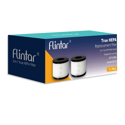 2 Pack Replacement Filter For PARTU And SLEVOO BS-03 HEPA Air Purifier in blue box with image of two filters