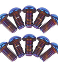 Kickass Titanium Finish M6 Stainless Steel Hex Bolts And Socket Screws For Motorcycle And Car Customs Hella Tough And Corrosion Resistant Burnt Blue Heads Pack Of Ten arranged in a circle.