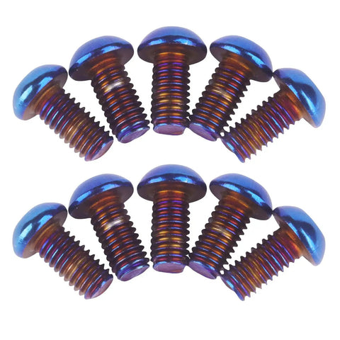 Kickass Titanium Finish M6 Stainless Steel Hex Bolts And Socket Screws For Motorcycle And Car Customs Hella Tough And Corrosion Resistant Burnt Blue Heads Pack Of Ten arranged in a circle.