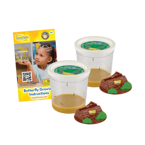Butterfly Garden Kit Refill For Painted Lady Butterflies With Two Cups Of Caterpillars and holding logs