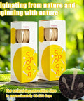 50 Pcs Disposable Wooden Spoons 6.3 Inch, Eco Friendly Biodegradable Cutlery For Camping Picnics Parties And Travel, Compostable