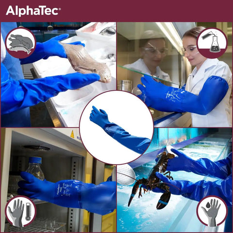 Heavy Duty Elbow Length Pvc Work Gloves With Rough Nonskid Grip Built For The Daily Grind Handles Grease And Slippery Locations Medium Blue Single Pair in use with seafood and lab equipment.