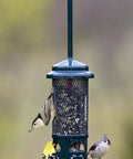 Squirrel-Proof Bird Feeder With Weight-Sensitive Perches, Four Metal Perches, 0.75 Qt Seed Capacity, Garden Green, Easy To Fill And Clean, Durable Backyard Feeder hanging outdoors with birds feeding on perches.
