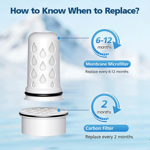 Image showing the replacement schedule for a membrane micro filter and carbon filter from a 7 Pack Water Filter Replacement pack.