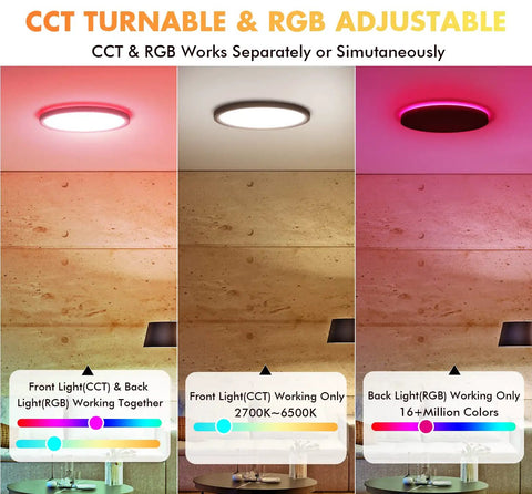 12 Inch Smart Flush Mount LED Ceiling Light with Dimmable Brightness, Adjustable CCT 2700K-6500K and 16 Million Colors, RGB Options