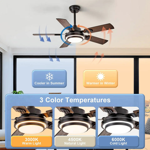 Top Shelf 42 Inch Ceiling Fan With Led Light and Smooth Quiet Motor Reversible Walnut Blades in a living space with adjustable color temperature.