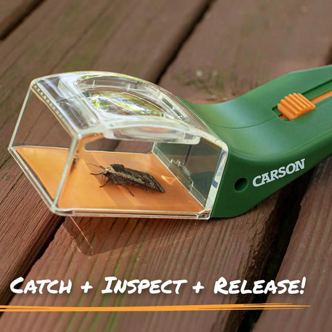 5x Magnifying Bug Catcher With One-Handed Quick Release Trap For Indoor Outdoor Exploration Kids And Adults STEM Learning Toy For Safe Bug Viewing And Easy Release. Green plastic bug catcher on wood with insect inside